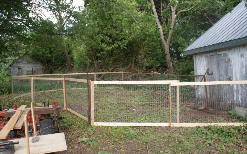 Best Staple Gun For Chicken Wire - Fence Staple Gun